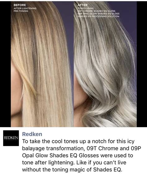 Redken Shades Eq 09t And 09p Silver Blonde Hair Hair Color Formulas