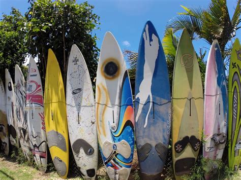 Bienvenue surfboard signs, surf decor, custom surfboard, surf board wall art, surf art, beach decor, cadeau de mariage, planche décoration murale. Images Gratuites : mur, printemps, Couleur, planche de ...
