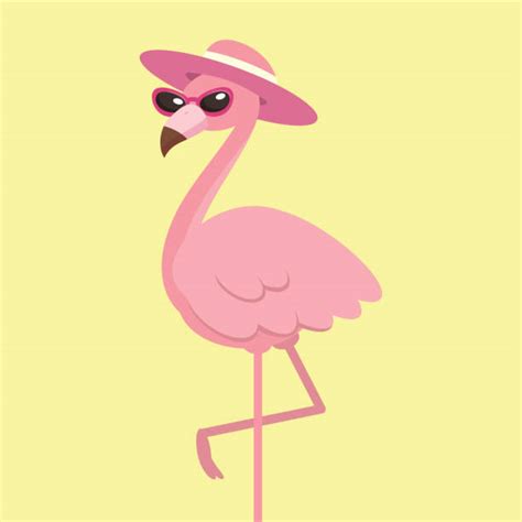 Pink Flamingo Sunglasses Illustrations Royalty Free Vector Graphics