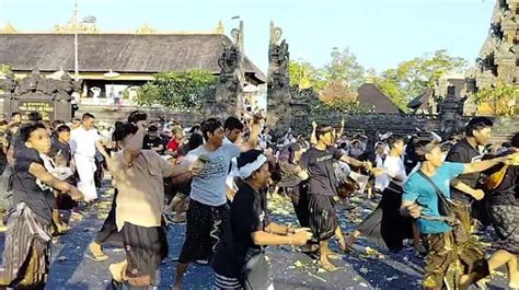 Makna Tradisi Aci Tabuh Rah Pengangon Di Desa Kapal Tahun Ini Ke 784