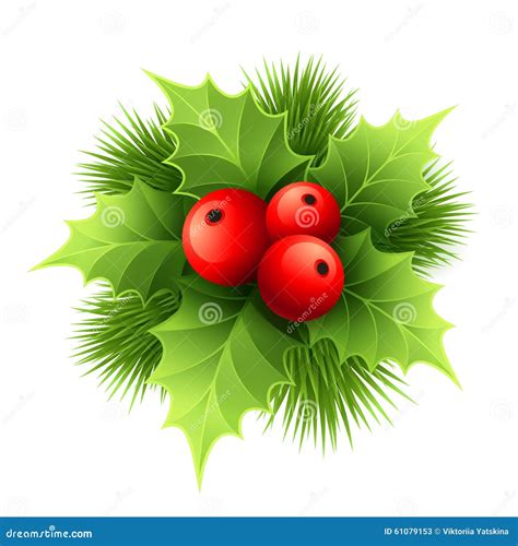 Vector Christmas Holly With Berries Vector Stock Vector Illustration