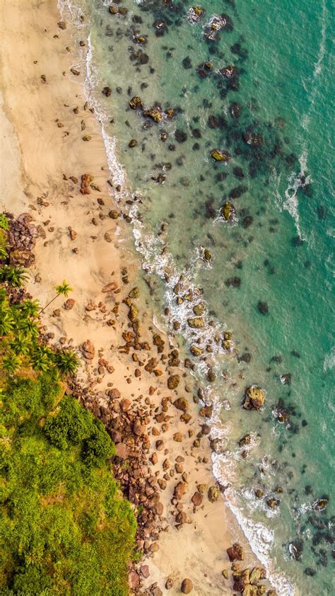 Download Wallpaper 938x1668 Beach Aerial View Shore Trees Sand