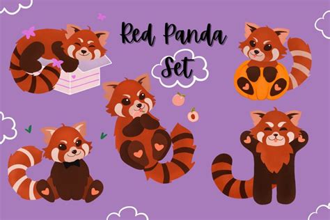 Cute Red Panda Clipart Png