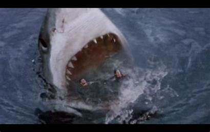 Megalodon Shark Attack Sharks Scary Wallpapersafari Filme