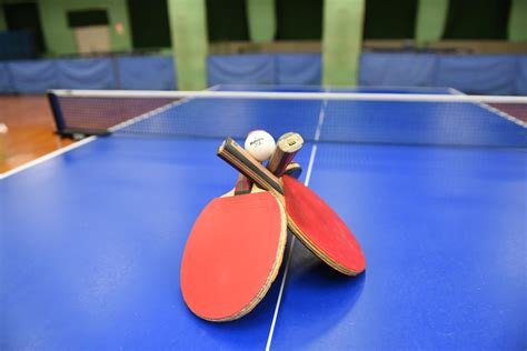 ツッツキとストップって何が違うんですか？ ・ 切り返しのコツはなんですか？ ・ 張本選手、丹羽選手、水谷選手などの日本人選手の真似をお願いします! 卓球 部 イラスト~かっこいい 部 卓球 イラスト ~ イラスト画像集