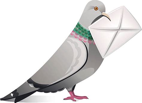 Royalty Free Messenger Pigeon Clip Art Vector Images And Illustrations