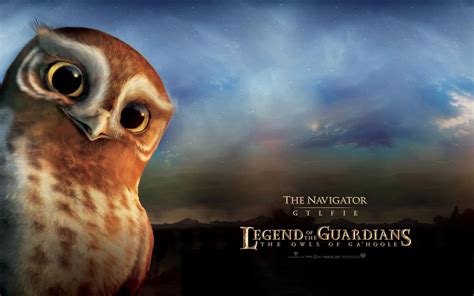 20 legend of the guardians the owls of ga hoole hd wallpapers and backgrounds