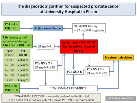 Prostate Cancer Diagnostic Algorithm Download Scientific Diagram