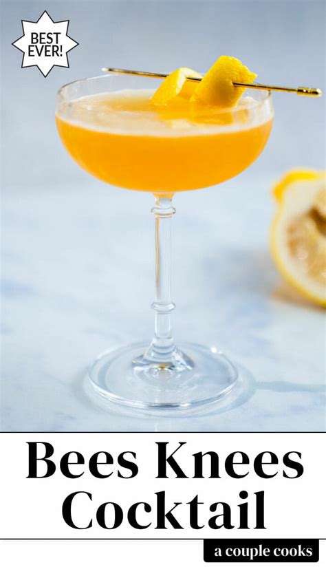 In a shaker tin, combine fresh lemon. Classic Bees Knees Cocktail - A Couple Cooks | Recipe in ...