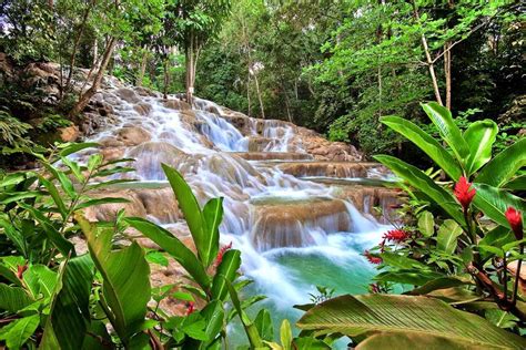 Phil Lafayette Tours Dunns River Falls And Ocho Rios Highlight