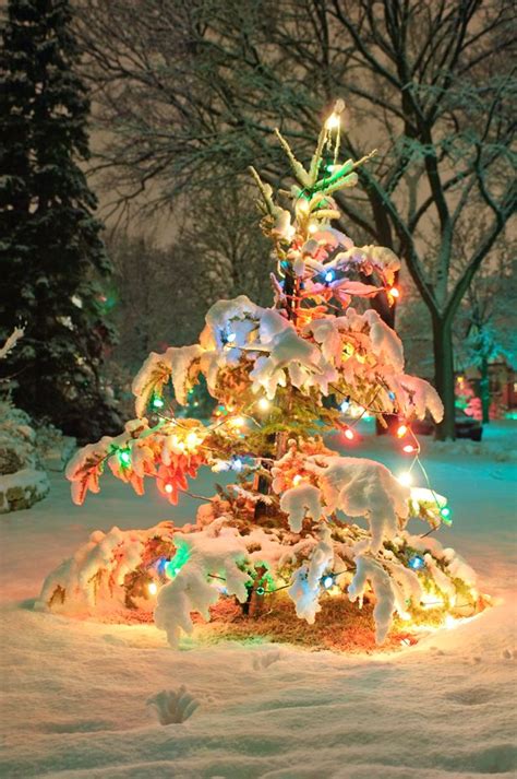Winter Wonderland Images Christmas