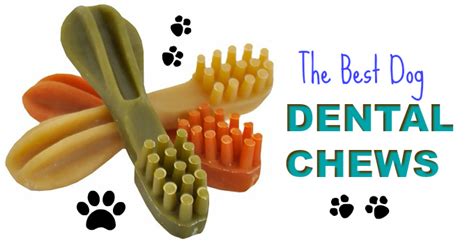 The Best Dental Chews For Dogs Cleaning Chews Oral Hygiene Treats