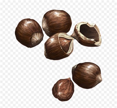 Hazelnuts Chocolate Png Hazelnut Png Free Transparent Png Images