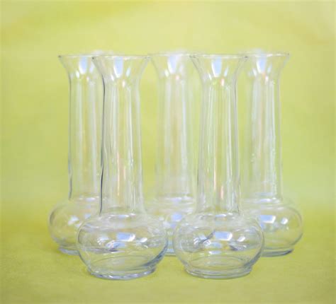 Clear Glass Vintage 8 Bud Vase Collection Tall 7 1 2 By Ollyoxes