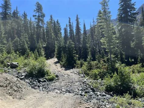 2023 Best 10 Off Road Driving Trails In Cle Elum Alltrails