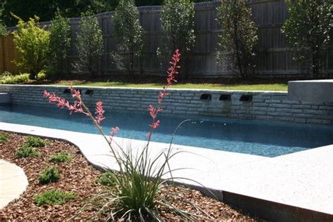 Simply Dennis modern pool | Modern pool, Modern, Landscape