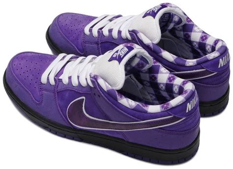 Concepts X Dunk Low Sb Purple Lobster Special Box Nike Bv1310 555
