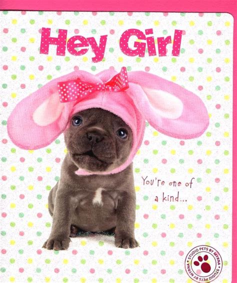 Hey Girl Cute Puppy Dog Studio Pets Easter Greeting Card