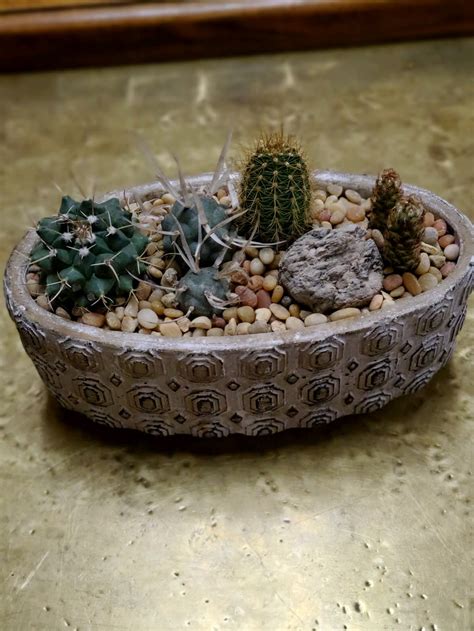 Cactus flower florist, offers fresh flowers and hand delivery right to your door in yucca valley. Cactus Garden Decorative in Yucca Valley, CA | Cactus ...