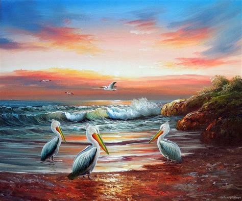 Sunset Pelicans Seascape Bird Avian Beach Surf Stretched