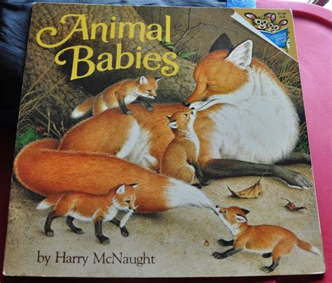 Great Picture Book Of All Kinds Of Baby Animals Animal Babies Harry