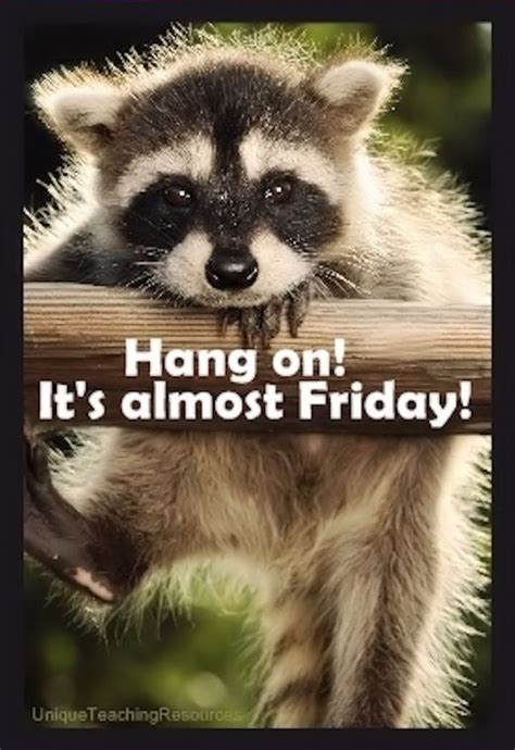 Hang On Its Almost Friday Pictures Photos And Images For Facebook