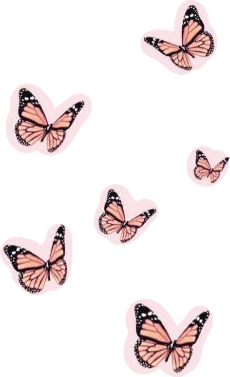 Pink Butterfly Wallpaper Iphone Pastel Butterfly Aesthetic 988 Free