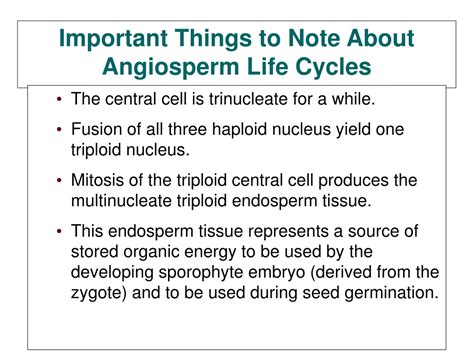 Ppt Chapter 38 Plant Reproduction Powerpoint Presentation Free Download Id9376059