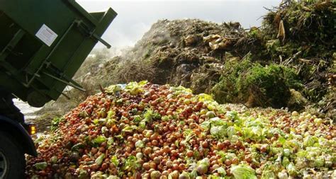 Wasted food is the single largest category of material placed in municipal landfills and represents nourishment that could have helped feed families in need. Food Waste has reached Stunning Proportions in Penang ...