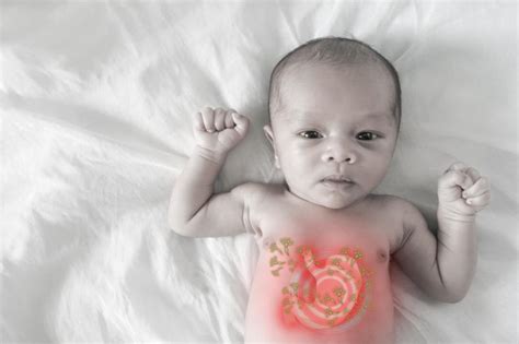 Gastroenteritis is an infection of the bowel that causes diarrhoea and how is viral gastroenteritis caught? L. rhamnosus-L. helveticus combo has little impact on ...