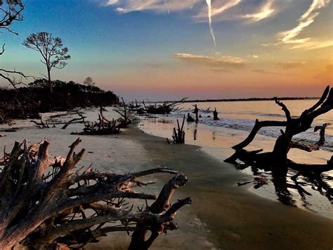 Driftwood Beach Among The Best In The Us