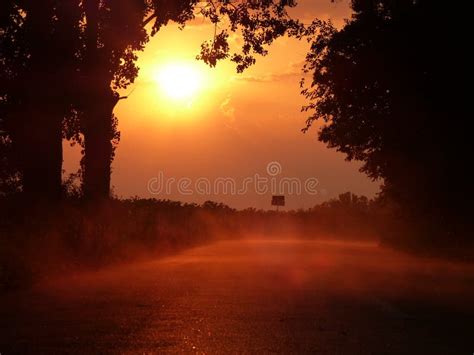 Foggy Sunset Forest Road After Rain Stock Photo Image Of Road