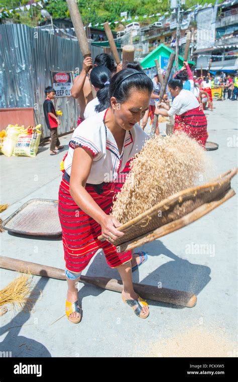 Woman From Ifugao Minority In A Rice Pounding Competion During Imbayah