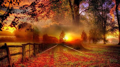 Superb Autumn Collage Country Field Fence Autumn Collage Sunset