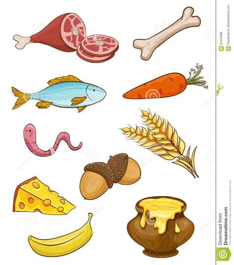 Alimentos Naturales Animales Ilustracion Del Vector