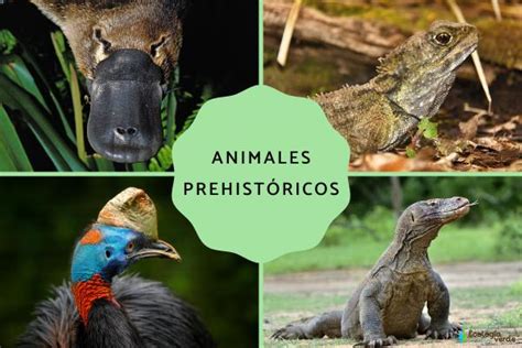 Animales Prehistóricos Ejemplos De Especies Extintas Y Vivas Guía