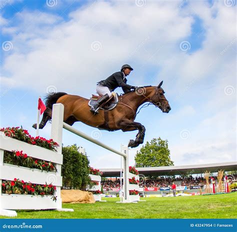 Horse Jumping Competition Editorial Stock Image Image Of Showjumping