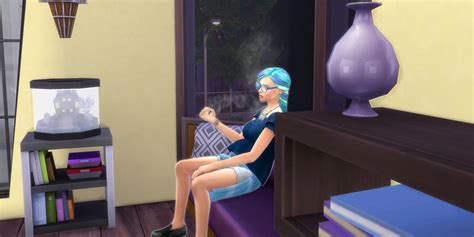 The Best Sims 4 Mods For Realistic Gameplay
