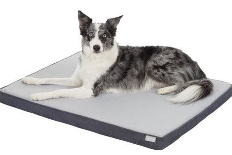 11 Best Dog Beds For German Shepherds According To Happy Pet Owners