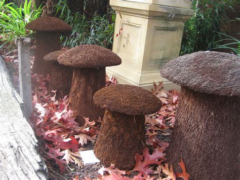 Warrandyte can started in 2007. Garden Mushrooms - small $20 WarranGlen nursery Warrandyte ...