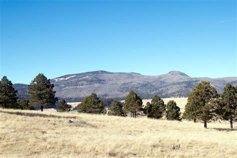 Redondo Peak Map New Mexico Mapcarta