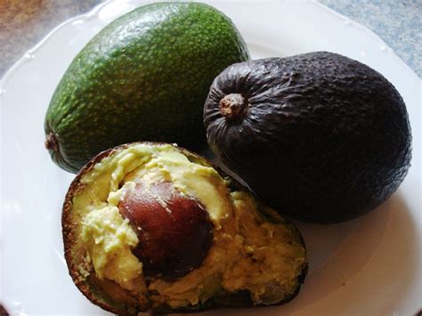 We did not find results for: Exotische Früchte aus dem Supermarkt - Pflanzen-Magazin ...