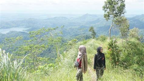 Tebing Gunung Gajah Lokasi Rute Foto Harga Tiket Masuk 2023