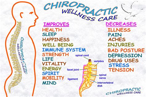 chiropractic wellness programs arrowhead health centers