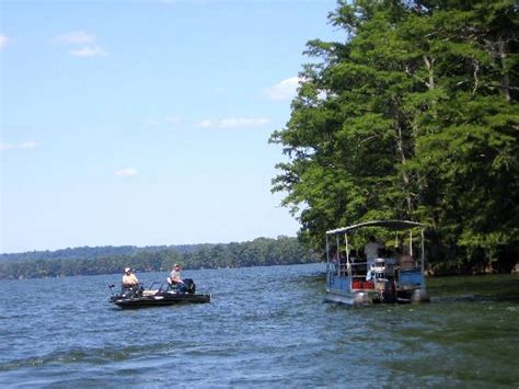 Reelfoot Lake Pontoon Boat Cruise Tiptonville All You Need To Know