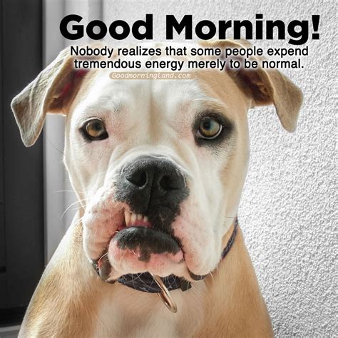 Funny Good Morning Text To Make Her Laugh : 21 Hilarious Text
