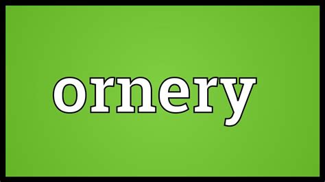 Meaning of foreplay in english. Ornery Meaning - YouTube