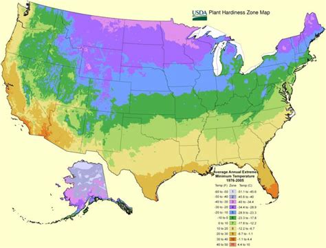 Зоны зимостойкости россии. Зона морозостойкости USDA. USDA 6 зона. USDA зоны зимостойкости. Карта зон зимостойкости USDA.
