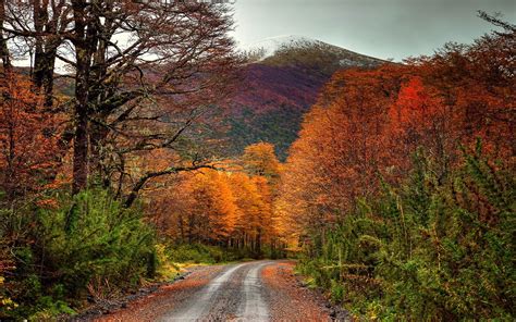 Landscape Fall Colorful Dirt Road Forest Mountain Chile Snowy