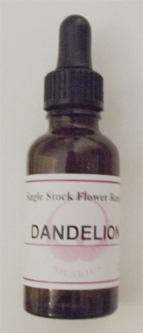 Dandelion Flower Essence Remedy Best Flower Site